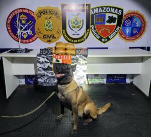 Imagem da notícia - Base Arpão 3: PMAM apreende 12 quilos de drogas no interior de uma mala