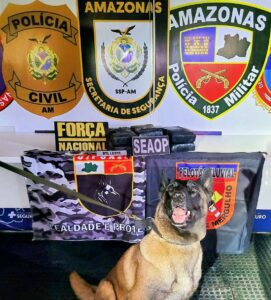 Imagem da notícia - Base Arpão 3: PMAM apreende seis tabletes de cocaína e prende suspeito por tráfico de drogas