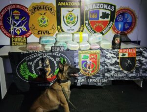 Imagem da notícia - Base Arpão 3: PMAM apreende mais de 20 quilos de drogas escondidos em caixas com peixes