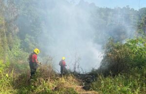 Imagem da notícia - Em 10 dias, Corpo de Bombeiros atendeu 53 ocorrências de incêndio em vegetação urbana e lixeiras clandestinas em Manaus