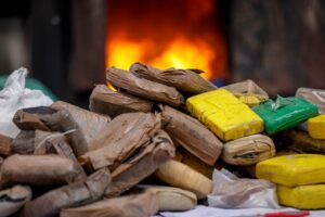 Imagem da notícia - Governo do Amazonas inicia incineração de 40 toneladas de drogas apreendidas