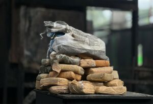 Imagem da notícia - Polícia Civil do Amazonas lidera incineração de drogas no país e reafirma protagonismo nacional no combate ao narcotráfico