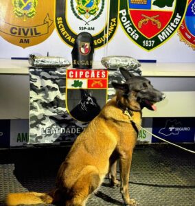 Imagem da notícia - Base Arpão 3: Dois tabletes de entorpecentes são apreendidos e responsável pela droga é preso em flagrante