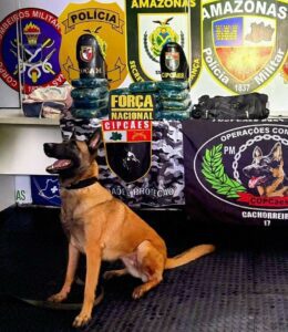 Imagem da notícia - Base Arpão 3: PMAM apreende 19 quilos de entorpecentes e prende dois homens por tráfico de drogas