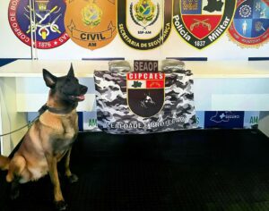 Imagem da notícia - Base Arpão 3: Mulher é presa com mais de R$ 100 mil em droga dentro de mala