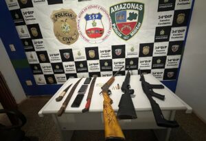 Imagem da notícia - Operação Interior mais Seguro: PMAM prende homem por incêndio criminoso e porte de armas no Careiro Castanho 