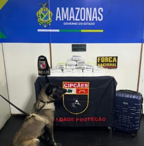 Imagem da notícia - Base Arpão 3: PMAM apreende mais de 12 quilos de pasta-base de cocaína e prende suspeito por tráfico de drogas