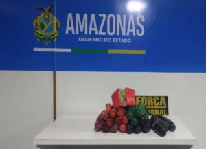 Imagem da notícia - Base Arpão 3: Forças de Segurança apreendem mais de R$ 600 mil em drogas