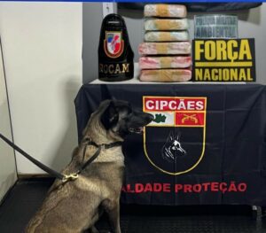 Imagem da notícia - Base Arpão: Mãe e filha são presas em embarcação com drogas escondidas nos corpos