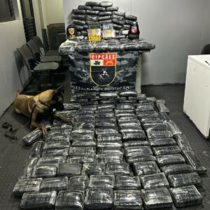 Imagem da notícia - Base Arpão 2: PMAM intercepta droga avaliada em R$ 3,6 milhões e prende homem em flagrante