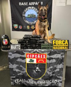 Imagem da notícia - Base Arpão 2: Cadela policial localiza entorpecentes armazenados no forro do banheiro de uma embarcação