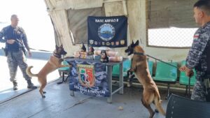 Imagem da notícia - Base Arpão 2: PMAM apreende droga avaliada em R$ 500 mil e prende dois homens