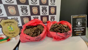 Imagem da notícia - PC-AM apreende R$ 19,5 milhões em cocaína e cocaína negra em mansão na Ponta Negra