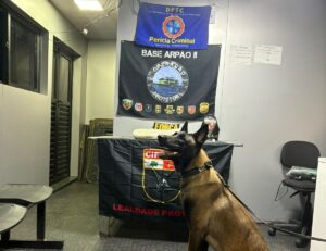 Imagem da notícia - Base Arpão 2: PMAM prende mulher com cocaína dentro de embarcação