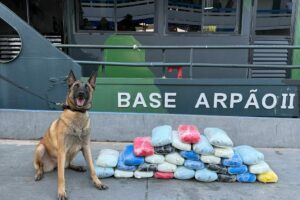 Imagem da notícia - Base Arpão 2: Drogas avaliadas em R$ 800 mil foram apreendidas em camarote do comandante de embarcação