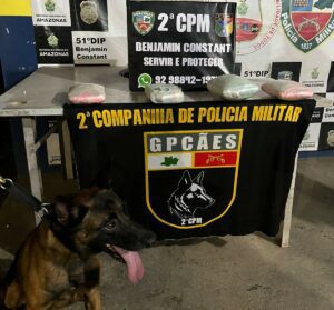 Imagem da notícia - Operação Faro: PMAM apreende drogas em embarcações em duas ações distintas