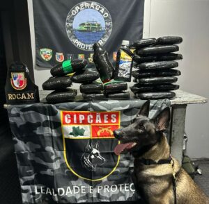 Imagem da notícia - Base Arpão II apreende óleo de maconha e mais de 35 kg de drogas em embarcação no Amazonas 