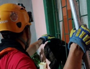 Imagem da notícia - Assustada com trovões, cadela fica presa em grade e é resgatada pelo Corpo de Bombeiros