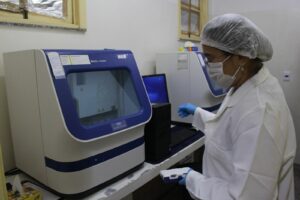 Imagem da notícia - Polícia Científica identifica quatro corpos localizados entre os anos de 2022 e 2024