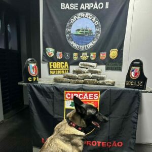 Imagem da notícia - Base Arpão 2: Policiais apreendem drogas avaliadas em R$ 240 mil