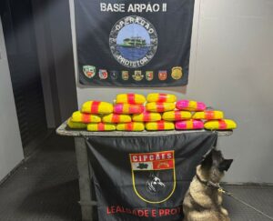 Imagem da notícia - Base Arpão 2: PMAM apreende 20 kg de droga dentro de bote acoplado a uma embarcação