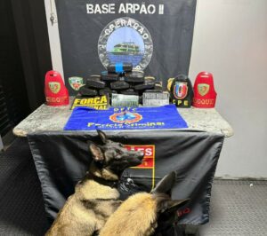 Base Arpão 2: PMAM apreende cerca de 18 quilos de drogas durante abordagens a duas embarc…