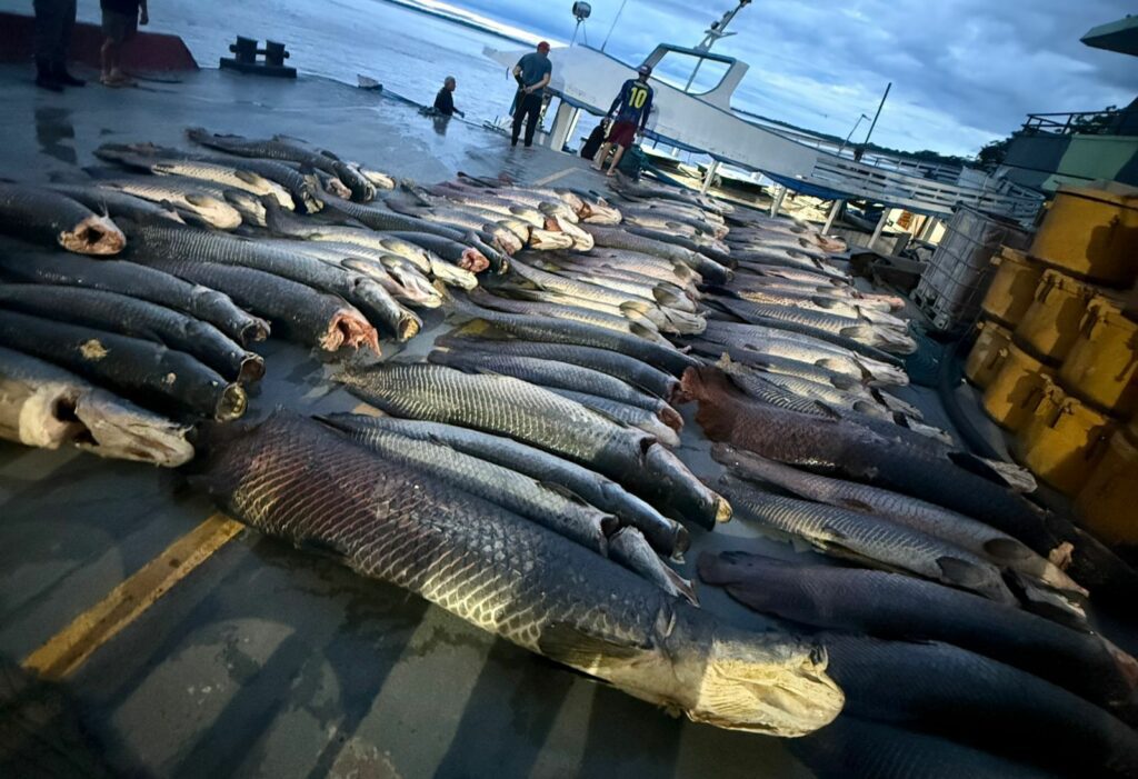 BASE ARPAO PESCADO ILEGAL FOTO DIVULGACAO SSP 2