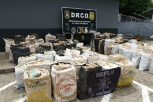 PC-AM apreende cerca de 4,5 toneladas de skunk avaliadas em mais de R$ 86 milhões