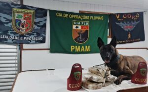 Imagem da notícia - Base Tiradentes: Cão policial encontra seis quilos de entorpecentes escondidos em uma bolsa
