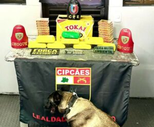 Base Arpão 2: Em duas ações distintas, PMAM apreende 18 tabletes de entorpecentes