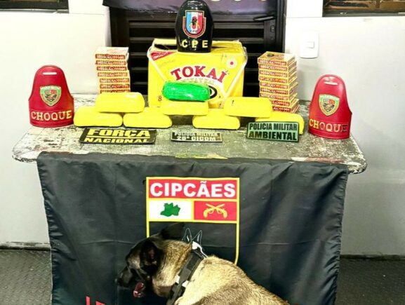 Base Arpão 2: Em duas ações distintas, PMAM apreende 18 tabletes de entorpecentes