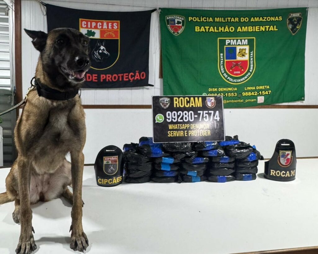 SSP AM BASE TIRADENTES PMAM APREENDE 26 TABLETES DE DROGAS E PRENDE HOMEM FOTO DIVULGACAO SSP AM
