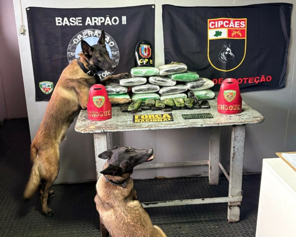 SSP AM FRONTEIRA MAIS SEGURA APREENSAO 29KG DROGAS CODAJAS COARI FOTOS DIVULGACAO SSP AM 2