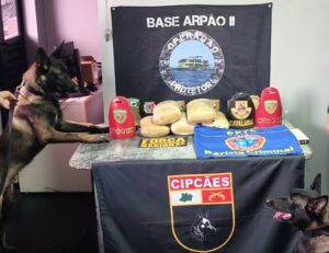 Base Arpão 2: PMAM apreende três carregamentos de droga na mesma embarcação avaliados em …