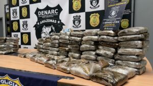 PC-AM intercepta 150 quilos de maconha que seriam enviados ao Pará em semirreboque