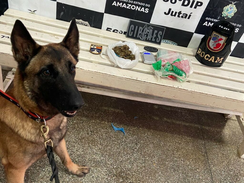 SSP AM BASE ARPAO 1 APREENSAO DROGAS TERRENO JUTAI FOTOS DIVULGACAO SSP AM 2 Copia