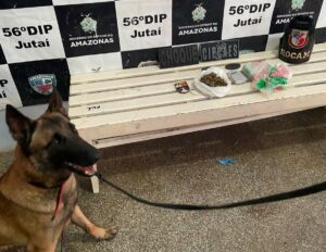 Imagem da notícia - Base Arpão 1: PMAM apreende drogas enterradas em terreno baldio em Jutaí