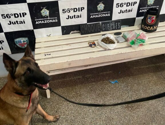 Base Arpão 1: PMAM apreende drogas enterradas em terreno baldio em Jutaí