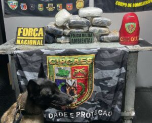 Base Arpão 2: Cão policial Athena encontra mais de 11 quilos de skunk em bagagem e mulher…