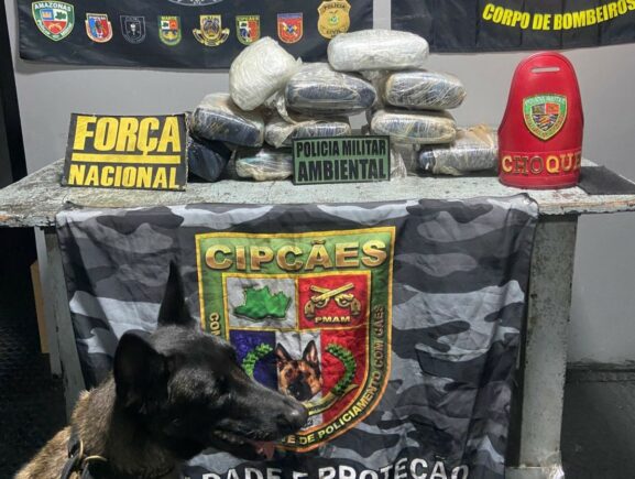 Base Arpão 2: Cão policial Athena encontra mais de 11 quilos de skunk em bagagem e mulher…