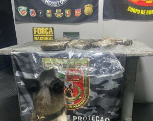 Base Arpão 2: Forças de Segurança prendem mulher com drogas escondidas em máquina de sold…