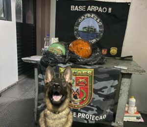 Base Arpão 2: PMAM apreende mais de 23kg de pasta-base de cocaína escondidos em cilindros…