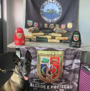 Imagem da notícia - Base Arpão 2: Cão policial localiza mais de 13 quilos de maconha escondidos em mala durante abordagem