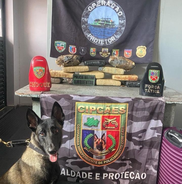 SSP AM BASE ARPAO 2 CAO POLICIAL LOCALIZA MACONHA EM MALA FOTO DIVULGACAO SSP AM
