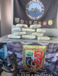 Base Arpão 2: Polícia encontra maconha do tipo skunk escondida em caixas com peixes e açaí