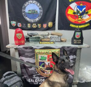 Base Arpão 2: PMAM prende mulher com R$ 580 mil em drogas dentro de embarcação 
