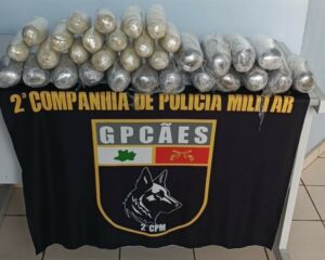Imagem da notícia - Operação Segurança Presente: Forças de Segurança apreendem mais de 35 quilos de drogas, armas de fogo e prendem seis pessoas no interior