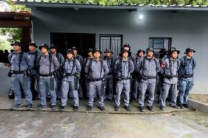 PMAM capacita efetivo para atuação em operações com cães farejadores, de patrulhamento e …