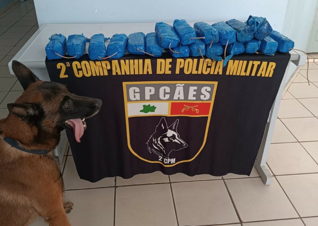 SEGURANCA PRESENTE 11KG COCAINA TONANTINS FOTO DIVULGACAO SSP AM