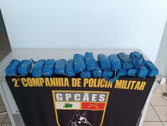 Operação Segurança Presente: Forças de Segurança apreendem mais de 11 quilos de entorpece…